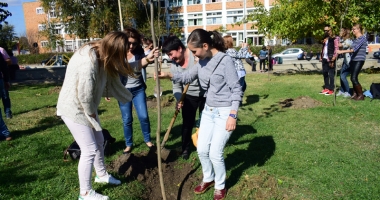 Parcul de la Casa de Cultură, îngrijit de elevii de la liceele de Artă și Telecomunicații și studenții de la "Șaguna" - 6