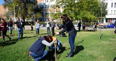 Parcul de la Casa de Cultură, îngrijit de elevii de la liceele de Artă și Telecomunicații și studenții de la "Șaguna" - 7