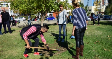Parcul de la Casa de Cultură, îngrijit de elevii de la liceele de Artă și Telecomunicații și studenții de la "Șaguna" - 3
