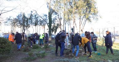 Stire din Social : Liceenii constănţeni plantează copaci