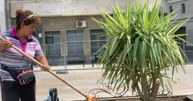 Piața Ovidiu, decorată cu plante ornamentale și rocă vulcanică - 2