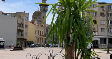 Piața Ovidiu, decorată cu plante ornamentale și rocă vulcanică - 1