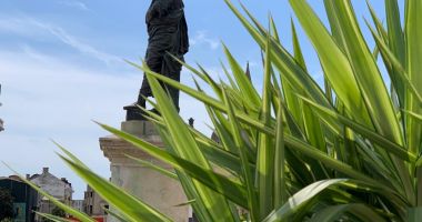 Piața Ovidiu, decorată cu plante ornamentale și rocă vulcanică - 4