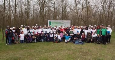 4.000 de copaci plantați de voluntari în Pădurea Valea Dacilor - 2