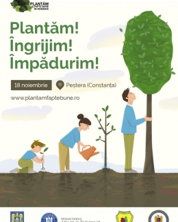 Stire din Social : Plantare de copăcei,  în județul Constanța