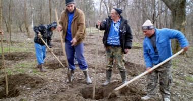 Stire din Politică-Administrație : Comuna Poarta Albă, reconstruită ecologic cu ajutorul Fondului de Mediu