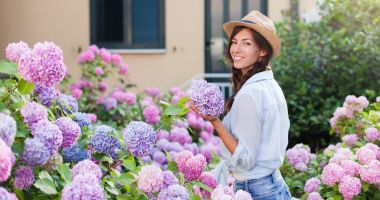 Stire din Sănătate : Plante de apartament ce vă pot pune viața în pericol