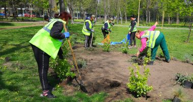 Continuă plantările de primavară în municipiul Constanța - 3