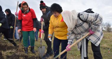 Stire din Politică-Administrație : Primăria Cumpăna vă invită la o nouă ediție a evenimentului “Plantează în România, plantează în comuna Cumpăna!”