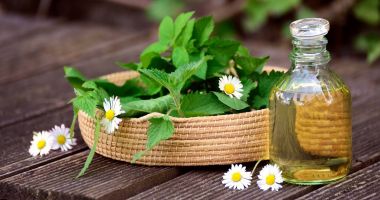 Folosiți cu încredere plantele medicinale