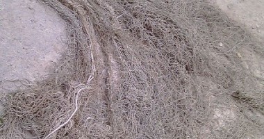 Stire din Eveniment : Peste 4 kilometri de plase monofilament confiscate