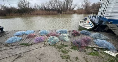 Peste 3.400 de metri de plase și 400 kg de pește, confiscate de polițiștii de frontieră - 2