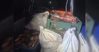 Peste 3.400 de metri de plase și 400 kg de pește, confiscate de polițiștii de frontieră - 3