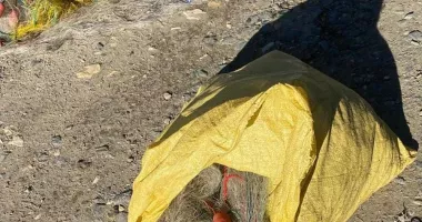 Doi bărbați surprinși că braconau pe Canalul Dunăre-Marea Neagră - 2
