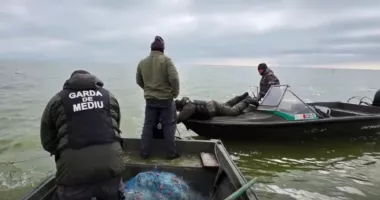 Stire din Eveniment : Braconaj la scară mare. Plase ilegale de peste șase kilometri, scoase din ape