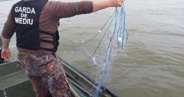 Plase pe o lungime de 400 de metri în care erau prinşi 32 de sturioni găsite pe Dunăre