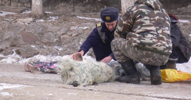 Stire din Eveniment : Plase monofilament confiscate de polițiștii de frontieră