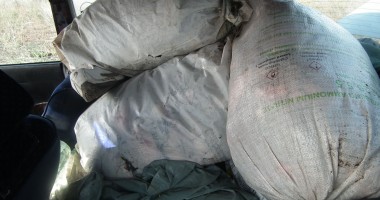 Peste 400 de kilograme de pește confiscate de polițiștii de frontieră - 4