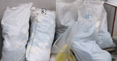 Plase de pescuit interzise descoperite de polițiștii de frontieră - 2