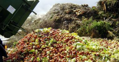 Stire din Economie : Platforma dedicată prevenirii risipei alimentare