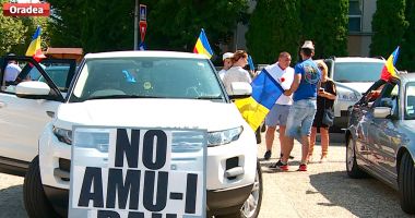 Miting diaspora. Și la Constanța va fi protest în fața Prefecturii - 5