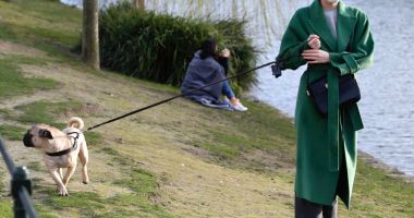 Plimbarea câinelui, un exercițiu fizic foarte bun