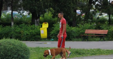 Stire din Politică-Administrație : NOI REGULI ȘI AMENZI. Primăria Constanța și Poliția pun lesa la gâtul STĂPÂNILOR DE CÂINI!