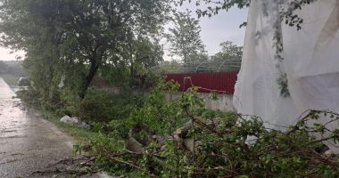 PLOAIA TORENȚIALĂ A FĂCUT PRĂPĂD. Drumuri județene blocate ore în șir - 4