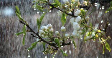 PROGNOZA METEO pe două săptămâni: Cum va fi vremea de Florii și Paște
