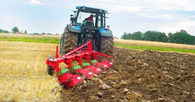 Stire din Economie : "Ploaie" de oferte pe piața terenurilor agricole. Iată prețurile cerute de vânzătorii din județul Constanța!