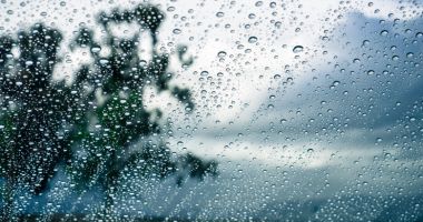 Stire din Actualitate : Vremea se răcește în toată țara. Meteorologii anunță fenomene meteo extreme
