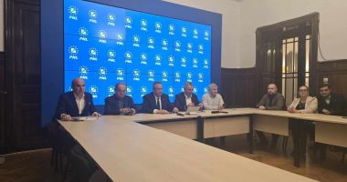 Stire din Politică-Administrație : Tristeţe la PNL. Liberalii, sfătuiţi să se mobilizeze cât mai mult pe ultima sută de metri