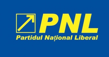 Liberalii își vor alege noua conducere la primăvară