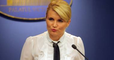 Stire din Politică-Administrație : PNL cere audierea conducerii BNR în Parlament pe tema francului elvețian