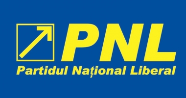 Stire din Politică-Administrație : Liberalii se pregătesc de alegeri. Cine se va ocupa de organizarea lor