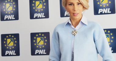 Stire din Politică-Administrație : PNL a depus o moțiune simplă împotriva ministrului Energiei