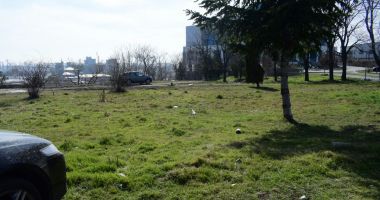 Galerie foto / Cum se schimbă Constanța la față: Străzi refăcute, un nou sens giratoriu și insulă cu spațiu verde - 3