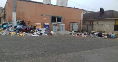 Polaris a sistat ridicarea gunoaielor în unele zone din Mangalia - 2