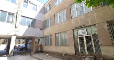 Buruieni cât casa în loc de cabinete medicale. "Jungla" din curtea Spitalului Municipal - 5