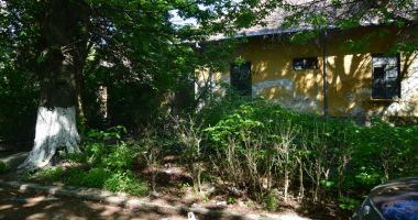 Buruieni cât casa în loc de cabinete medicale. "Jungla" din curtea Spitalului Municipal - 2