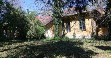 Buruieni cât casa în loc de cabinete medicale. "Jungla" din curtea Spitalului Municipal - 9