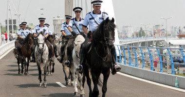 Stire din Eveniment : Proiectul Poliției Călare la Constanța se poticnește
