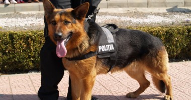 Stire din Eveniment : Căutări de amploare în județul Neamț. O femeie a dispărut de două luni