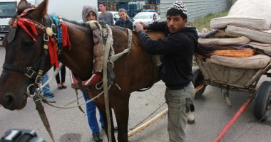 GALERIE FOTO / Cum scapă CONSTANȚA de căruțe! - 11