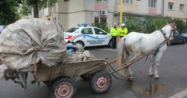 GALERIE FOTO / Cum scapă CONSTANȚA de căruțe! - 4