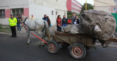 Stire din Eveniment : Continuă imobilizarea căruțelor, la Constanța. "Echipajele noastre vor interveni de urgență"
