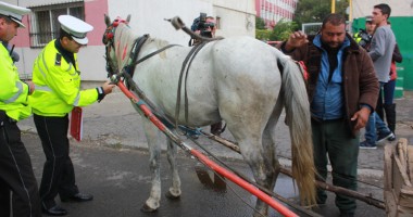 GALERIE FOTO / Cum scapă CONSTANȚA de căruțe! - 6