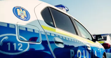 Ca în filme. Un fugar se ascundea într-o groapă sub pământ ca să scape de polițiști