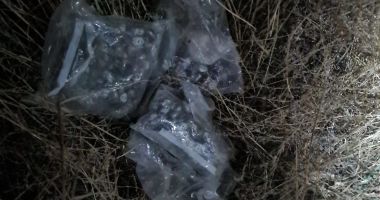 VIDEO/FOTO Percheziții de amploare la traficanții de droguri. Vizați dealerii din Călărași și București - 2