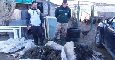 Peste 200 kg de pește, confiscate de polițiștii de frontieră
